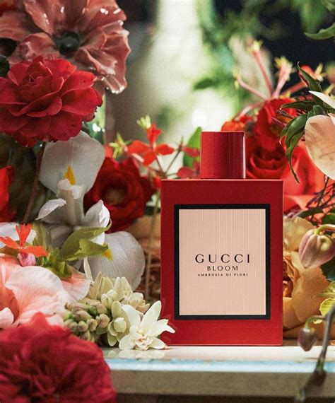 guccie bloom perfume|gucci bloom perfume collection.